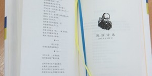 У Києві презентували перший у світі китайський "Кобзар"