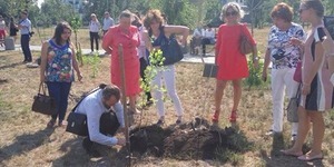 Реліктові деревця висадили в Дніпровському районі