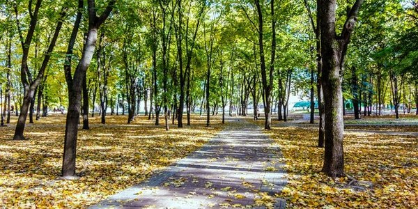 В Київраді готові забрати землю в ще однієї компанії-забудовника