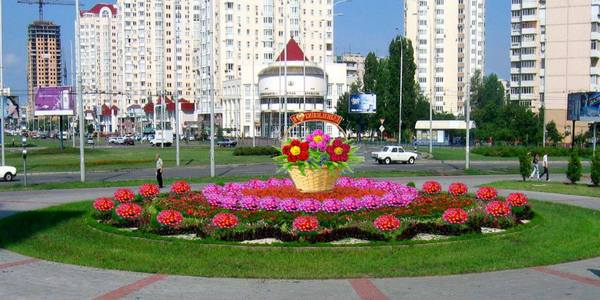 Столицю прикрасять кошиками з хризантемами