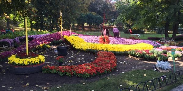 Київзеленбуд вдруге планує потрапити в Книгу рекордів України
