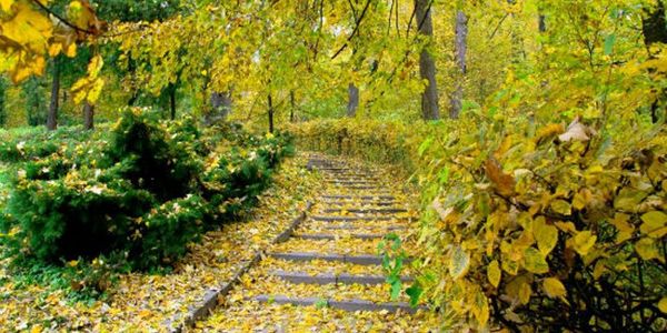 Вікенд киянина на 14 - 16 жовтня