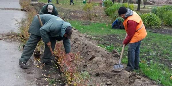 Як Київзеленбуд готується до Євробачення