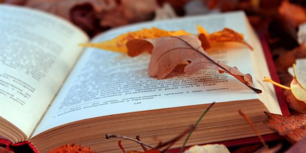 Книжкові події тижня: Волинь-43, квест поттероманів та казкові читання