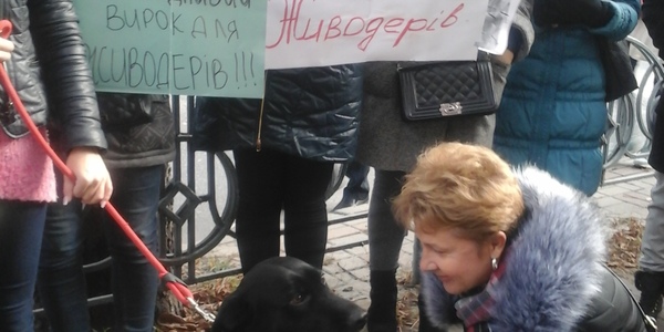 У столиці діють собачі маніяки