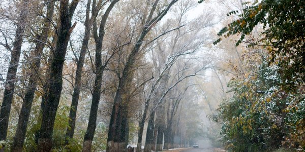 У Києві таки випав перший сніг