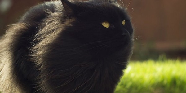 На столицю насувається буревій