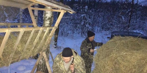 Столичні лісники підготували корм для звірів