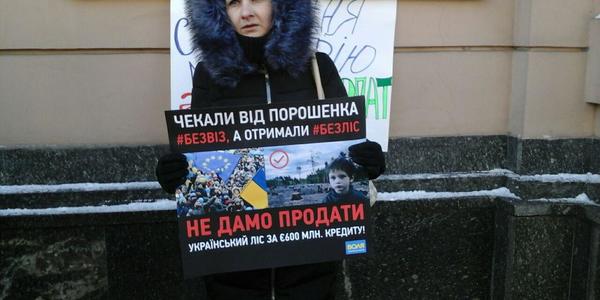 У центрі столиці розпиляли дрова