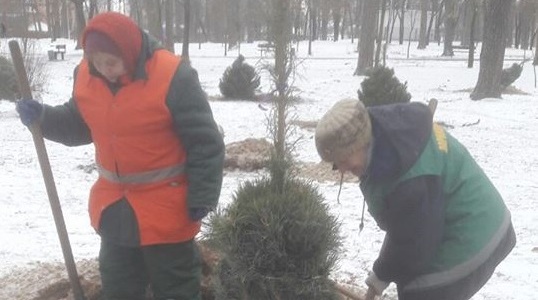 У парку Партизанської Слави висадили нові дерева