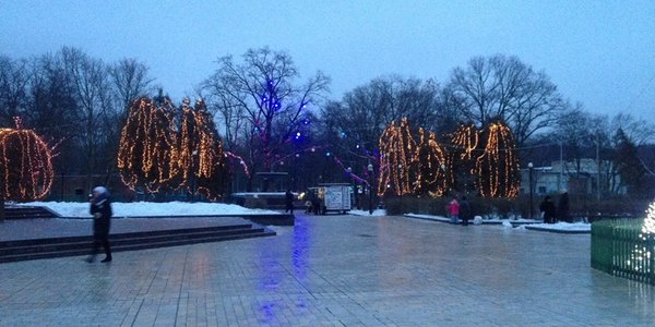 Голосіївський парк прикрасили новорічними ілюмінаціями [фото]