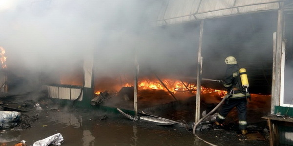 Рятувальники показали, як гасили масштабну пожежу біля метро "Лісова" [відео]