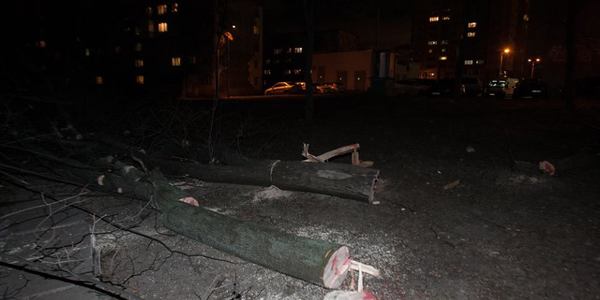 На Воскресенці невідомі молодики вирубали сквер [фото]
