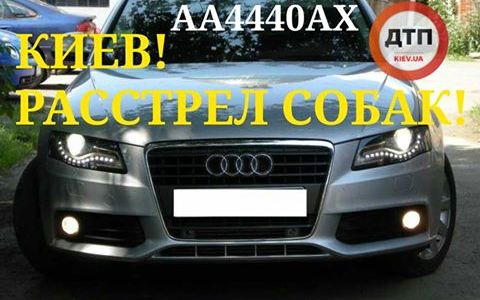 В Голосіївському районі столиці з’явився черговий догхантер