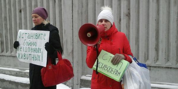 Зоозахисники прокоментували замах на догхантера