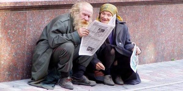 Міська влада нагодує безхатченків