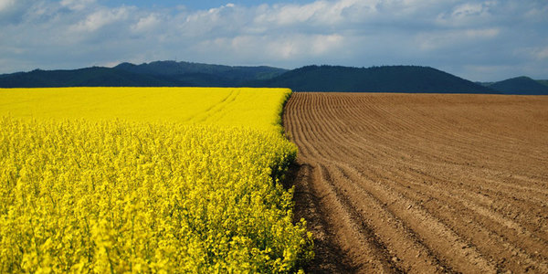 Кабмін боротиметься із деградацією земель