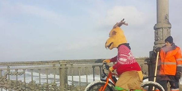 Олень на велосипеді приголомшив водіїв [Відео]