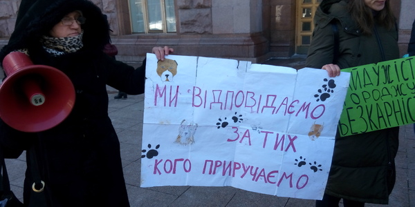 Під КМДА мітингували любителі котиків [фото, відео]