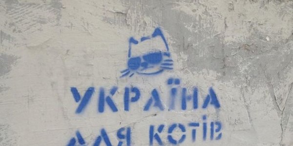 У столиці запідозрили "котячу змову"