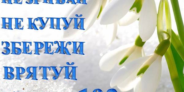 У Києві оголосять "орієнтування" на продавців  першоцвітами [відео]