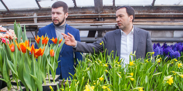 У столиці висадять рекордну кількість квітів