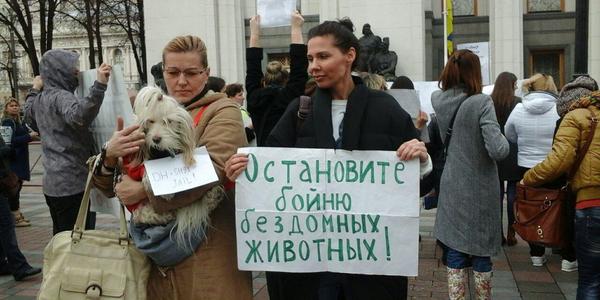 Зоозахисники та чорнобильці оточили Верховну Раду