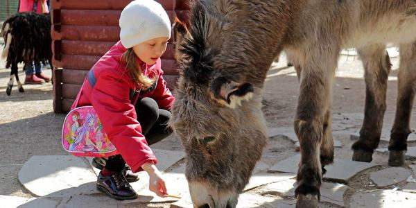 У Київському зоопарку зростає вартість вхідних квитків