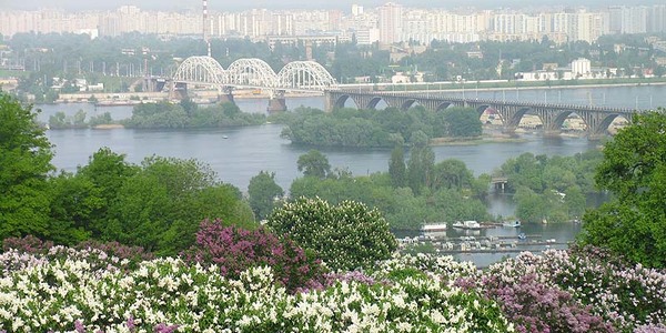 Київрада удвічі збільшила штраф за знищення зелених насаджень