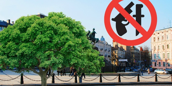 Вчені з’ясували: збільшення дерев на вулицях понизить рівень злочинності