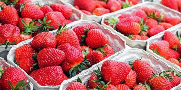 Цими вихідними киян вітатимуть сезонні ярмарки