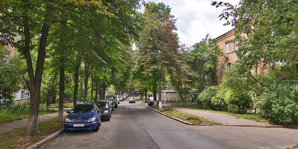 Дві столичні вулиці знов перекриють