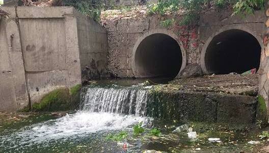Малі напівзабуті водойми нагадують про себе великими проблемами
