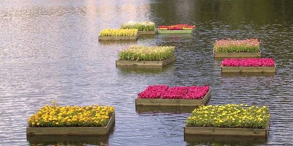 На Івана Купала запустять по воді унікальну клумбу