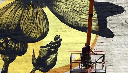 На стіні київського будинку «розквітла» гігантська мальва