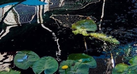 Сьогодні у Києві влаштують унікальну фото-ніч