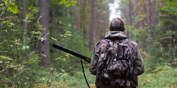 Українським браконьєрам посилили відповідальність