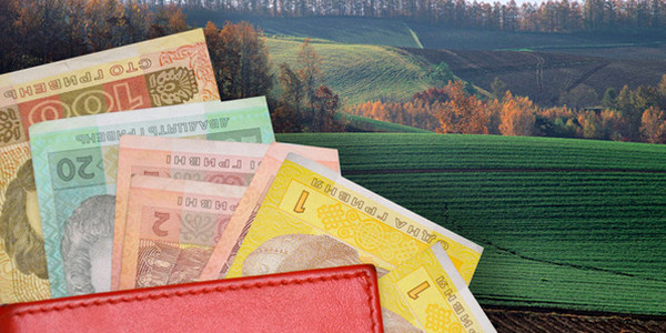 Українцям заборонили продавати землю - МВФ скасував вимогу