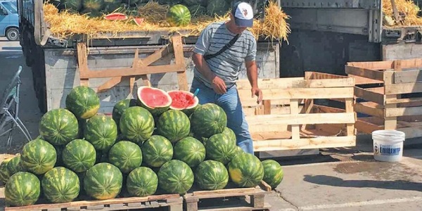 Чому кияни переплачують за кавуни