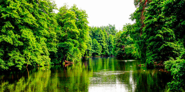 Нарешті у столичних водоймах знов можна купатися