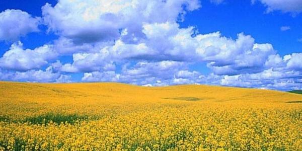 Скільки ще протримається спека на території країни?
