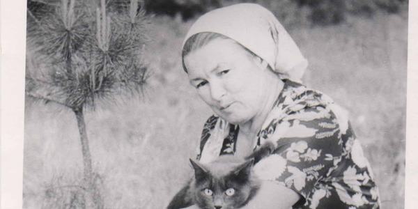 Сусіди довели киянку до інвалідної коляски