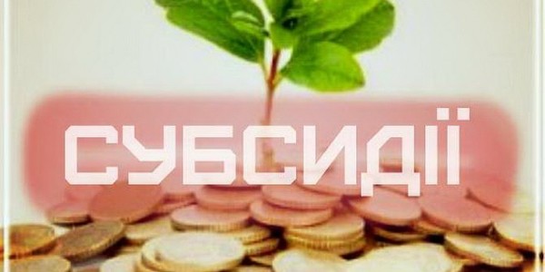 Субсидії нарахують по-новому: допомогу отримають лиш обрані