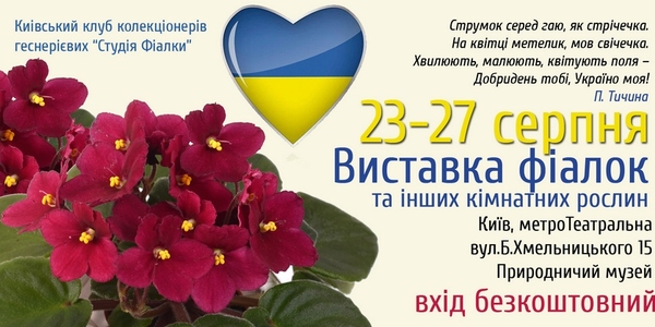 Киян запрошують на безкоштовну фіалкову виставку