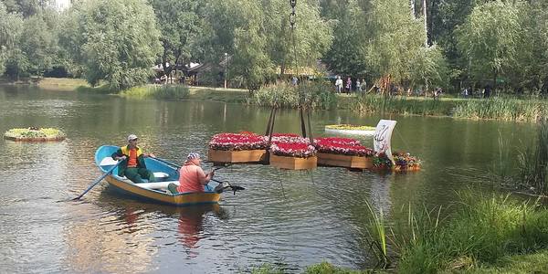У парку «Перемога» з’явилися незвичайні клумби на воді [фото]
