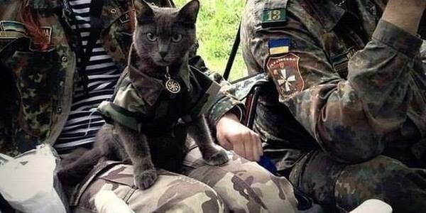 Військові створили фотоальбом зі світлинами чотирилапих напарників