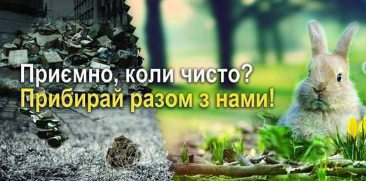 Киян запрошують прибрати довкола Китаївських ставків