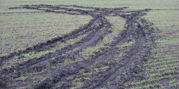 Як мисливці «обкрадають» українських аграріїв на мільйони