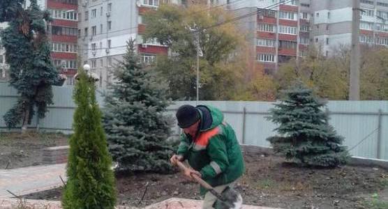 У зв’язку з масовими крадіжками дерев у парках, «Київзеленбуд»  просить містян бути пильними