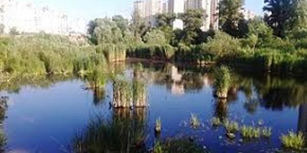 Осокорки у Києві: новий екопарк та зариблення водойм вже навесні